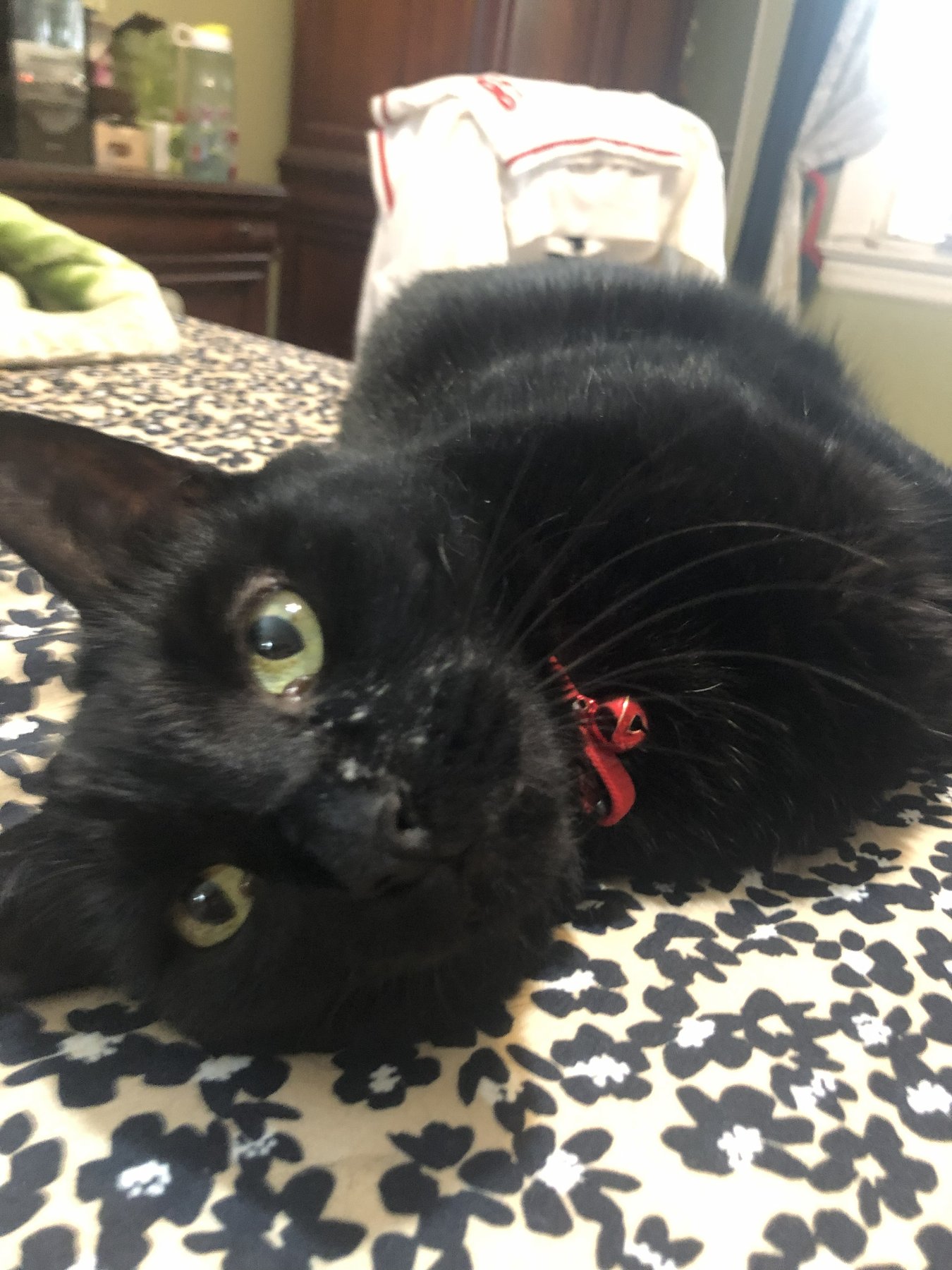 Hero photo for July 2025